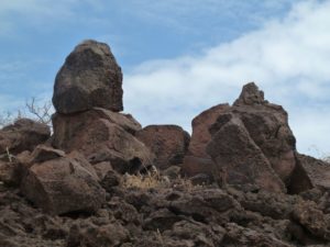 Commiphora Hill