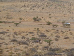 Overview West of Marsabit